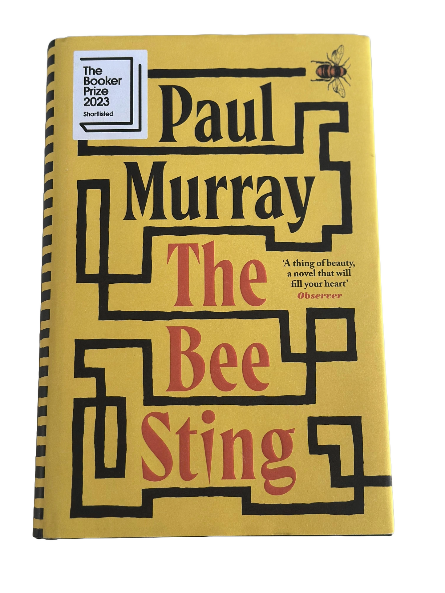 The Bee Sting | Paul Murray