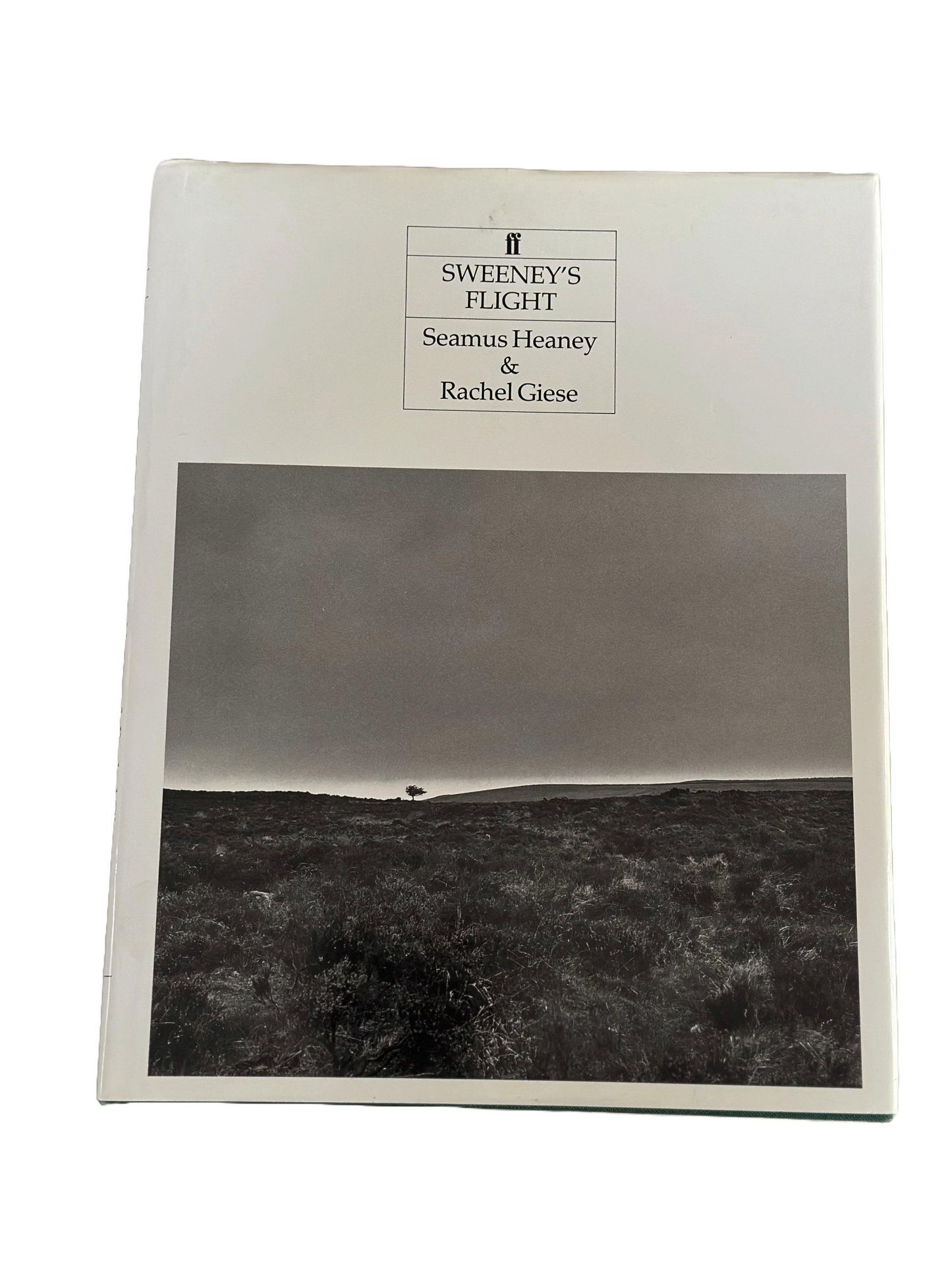 Sweeney's Flight | Seamus Heaney & Rachel Giese