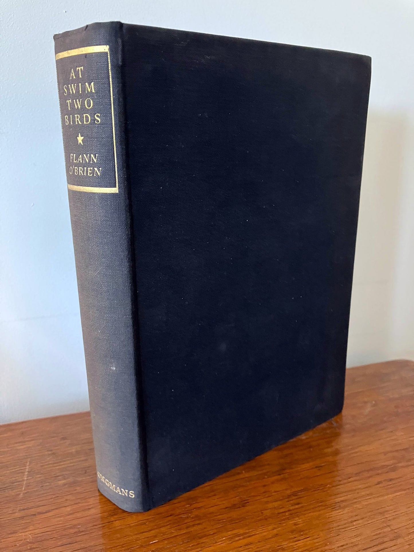 At Swim Two Birds |  Flann O'Brien