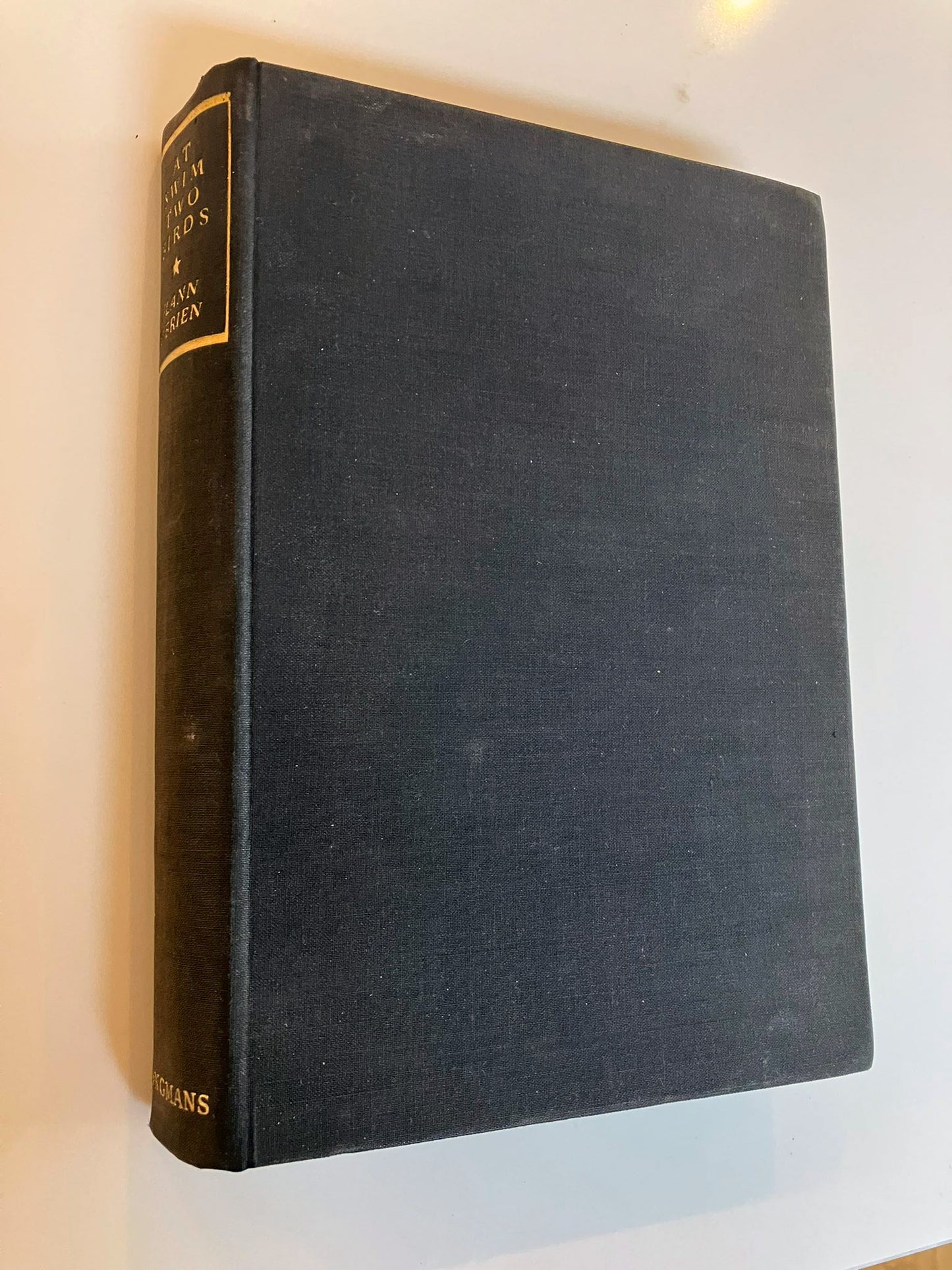 At Swim Two Birds |  Flann O'Brien