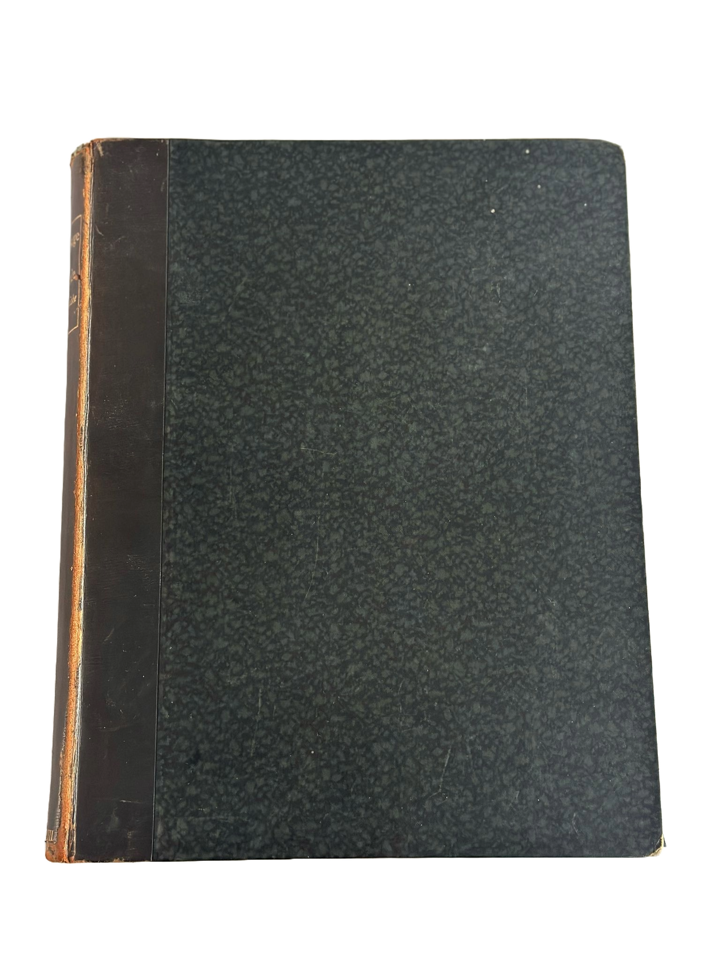The Image of Ireland, with a discouerie of Woodkarne | John Derricke