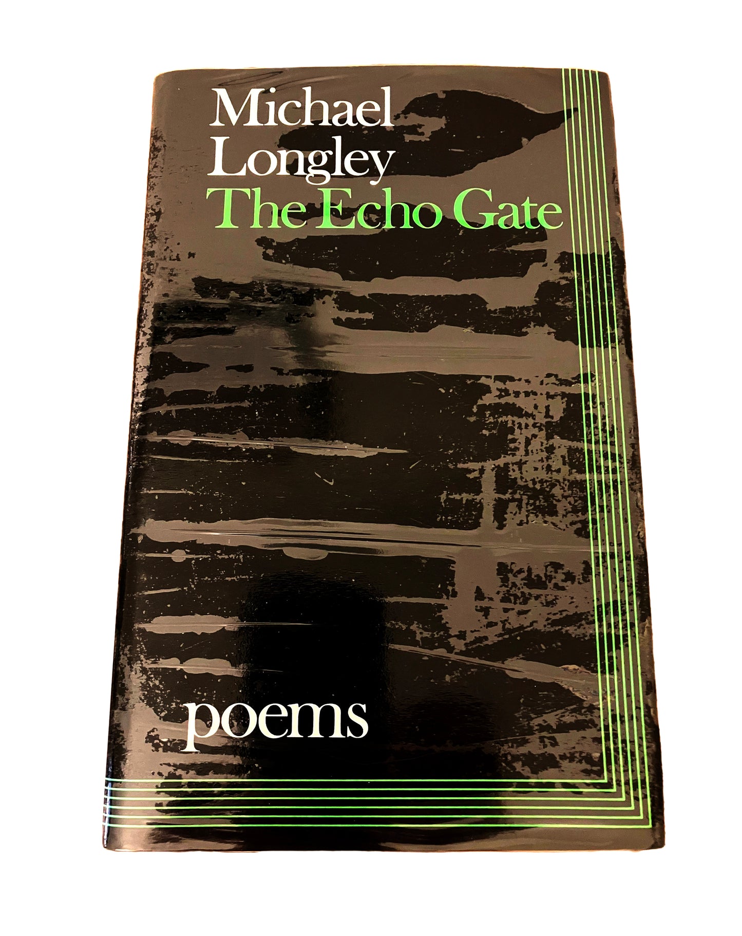 The Echo Gate | Michael Longley