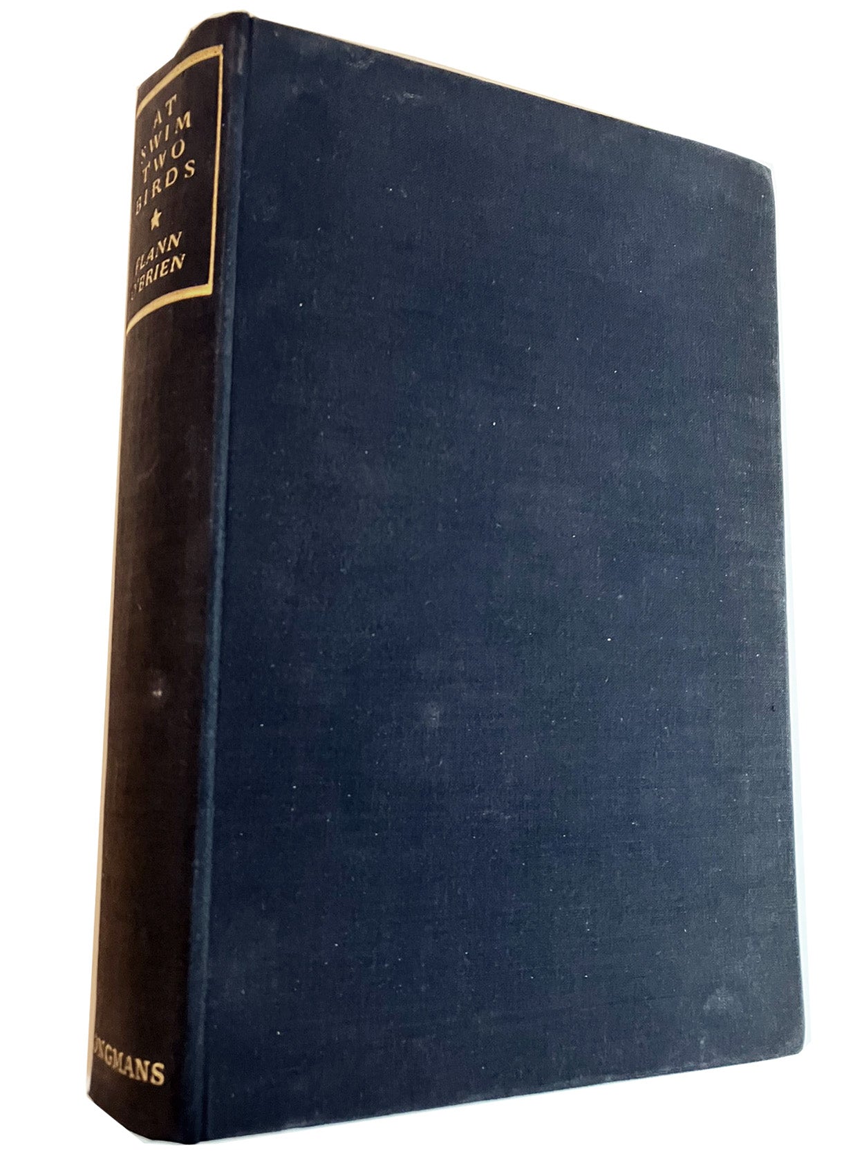 At Swim Two Birds |  Flann O'Brien